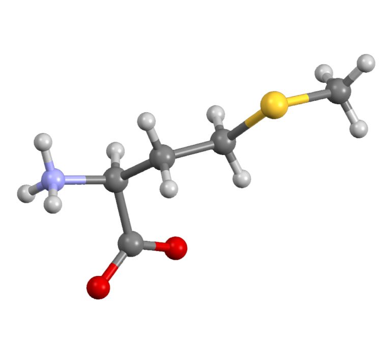 9 essentiella aminosyror