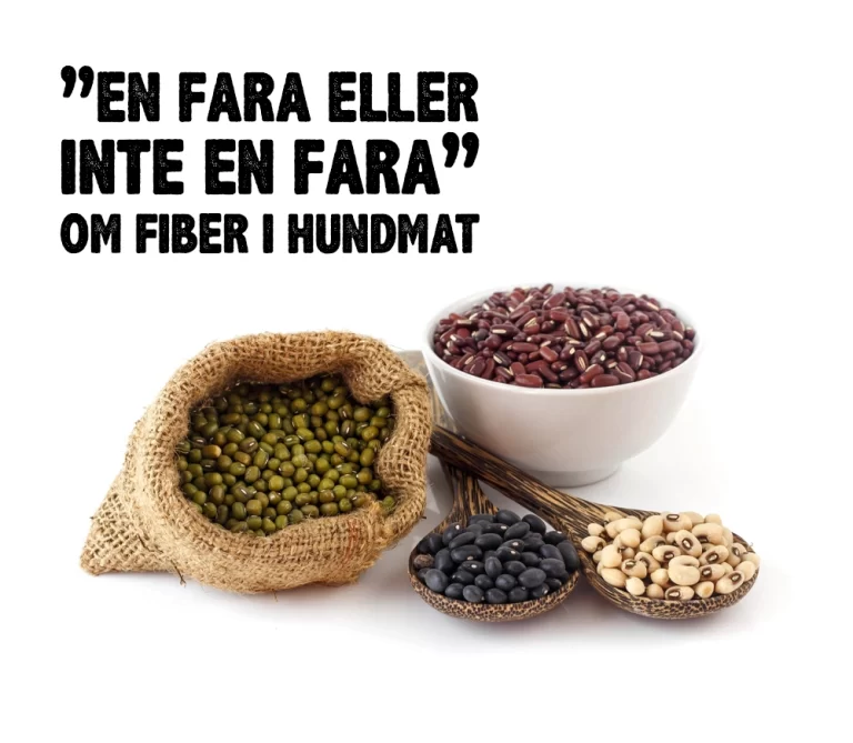 fiber i hundmat