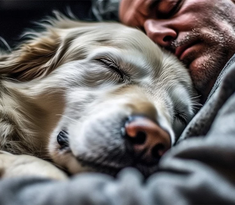 Hundar springer i sömnen