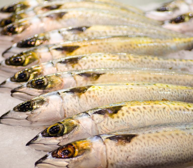 Makrill och sardin innehåller mycket nyttigt