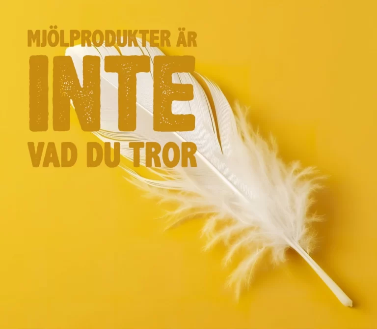 mjölprodukter är inte vad du tror
