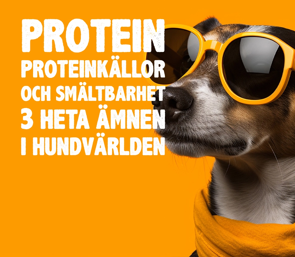tre heta ämnen