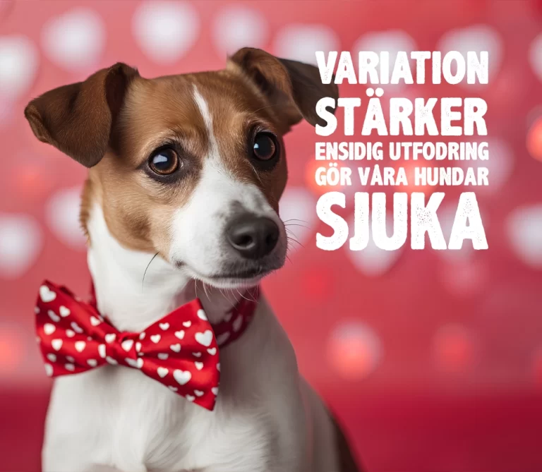 viktigt att variera kosten