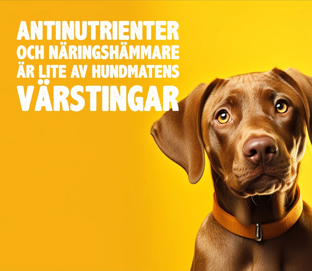 värstingar i hundmaten